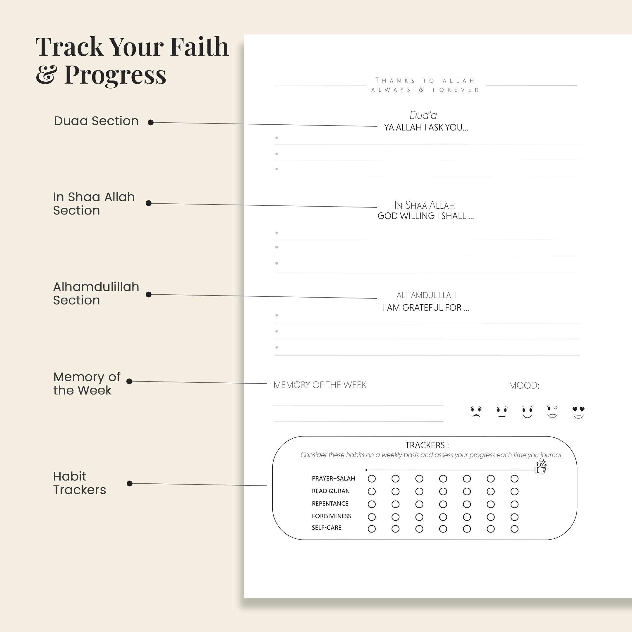 Shukr Journal Desert Green